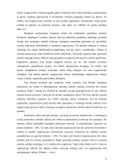 Straipsnio analizė: "Verslo strateginių sprendimų pasirinkimo pagrindimas" 4 puslapis