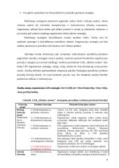 Straipsnio analizė: "Verslo strateginių sprendimų pasirinkimo pagrindimas" 6 puslapis