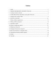 Strateginė situacija ir ją įtakojantys veiksniai