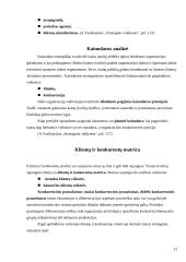 Strateginė situacija ir ją įtakojantys veiksniai 13 puslapis