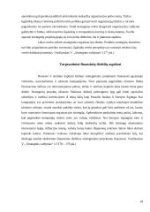 Strateginė situacija ir ją įtakojantys veiksniai 18 puslapis