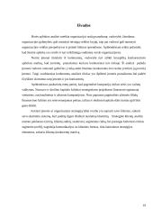 Strateginė situacija ir ją įtakojantys veiksniai 19 puslapis