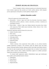 Strateginė situacija ir ją įtakojantys veiksniai 3 puslapis