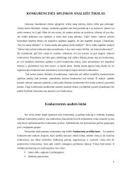 Strateginė situacija ir ją įtakojantys veiksniai 6 puslapis