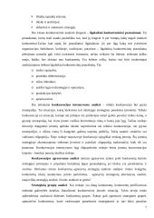 Strateginė situacija ir ją įtakojantys veiksniai 7 puslapis