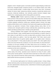 Strateginė situacija ir ją įtakojantys veiksniai 8 puslapis