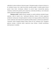 Strateginė situacija ir ją įtakojantys veiksniai 10 puslapis