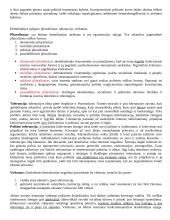 Šiuolaikinės demokratijos samprata 2 puslapis