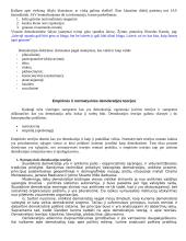 Šiuolaikinės demokratijos samprata 3 puslapis