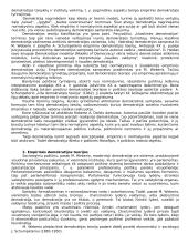 Šiuolaikinės demokratijos samprata 4 puslapis