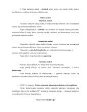 BK teisės normų analizė 3 puslapis