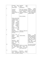 Ugdomoji pamokos analizė 2 puslapis