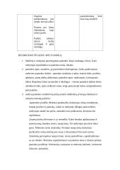 Ugdomoji pamokos analizė 5 puslapis