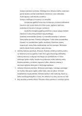 Ugdomoji pamokos analizė 6 puslapis