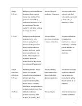 Lietuvių kalbos ugdomoji pamokos analizė 2 puslapis