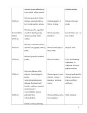 Lietuvių kalbos ugdomoji pamokos analizė 3 puslapis