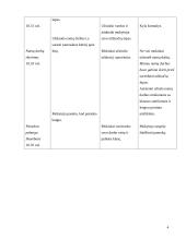 Lietuvių kalbos ugdomoji pamokos analizė 4 puslapis