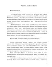 Lietuvių kalbos ugdomoji pamokos analizė 5 puslapis