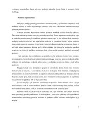 Lietuvių kalbos ugdomoji pamokos analizė 7 puslapis