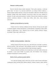 Lietuvių kalbos ugdomoji pamokos analizė 8 puslapis