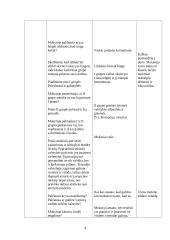 Pilietinės visuomenės pagrindų ugdomoji pamokos analizė 4 puslapis