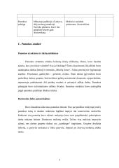 Pilietinės visuomenės pagrindų ugdomoji pamokos analizė 5 puslapis