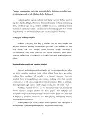 Pilietinės visuomenės pagrindų ugdomoji pamokos analizė 7 puslapis