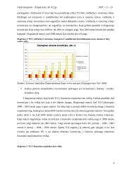 Užsienio investicijos į Lietuvos paslaugų sektorių ir jų pokyčiai 2000 – 2006 metais 4 puslapis
