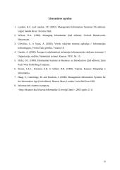 Vadybos informacinių sistemų apžvalga 12 puslapis