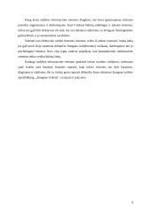 Vadybos informacinių sistemų apžvalga 9 puslapis