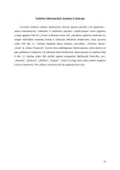 Vadybos informacinių sistemų apžvalga 10 puslapis