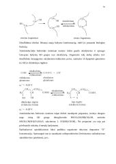 Alkoholiai, fenoliai, eteriai, tioliai ir sulfidai 13 puslapis