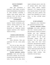 Aranžuotėje naudojami augalai 2 puslapis