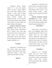 Aranžuotėje naudojami augalai 13 puslapis