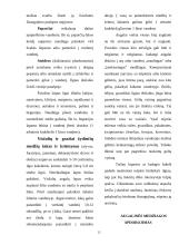 Aranžuotėje naudojami augalai 15 puslapis