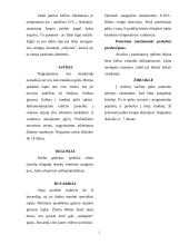 Aranžuotėje naudojami augalai 3 puslapis