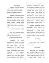 Aranžuotėje naudojami augalai 6 puslapis