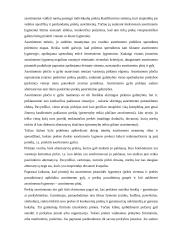 Asortimento politika 2 puslapis