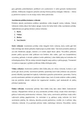 Asortimento politika 3 puslapis