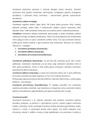 Asortimento politika 5 puslapis