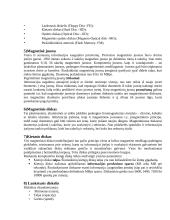 Atminties įrenginiai ir atminties įrenginių tipai 2 puslapis