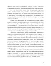 Atsinaujinanti energija 6 puslapis