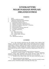Atsiskaitymų negrynaisiais pinigais organizavimas