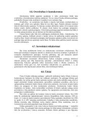 Atsiskaitymų negrynaisiais pinigais organizavimas 11 puslapis