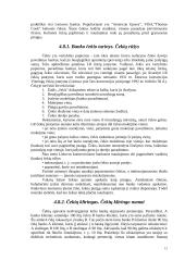 Atsiskaitymų negrynaisiais pinigais organizavimas 12 puslapis