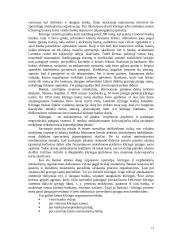 Atsiskaitymų negrynaisiais pinigais organizavimas 13 puslapis