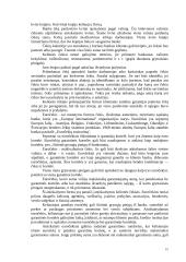 Atsiskaitymų negrynaisiais pinigais organizavimas 15 puslapis