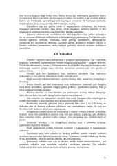 Atsiskaitymų negrynaisiais pinigais organizavimas 16 puslapis