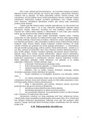 Atsiskaitymų negrynaisiais pinigais organizavimas 17 puslapis