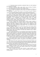 Atsiskaitymų negrynaisiais pinigais organizavimas 4 puslapis